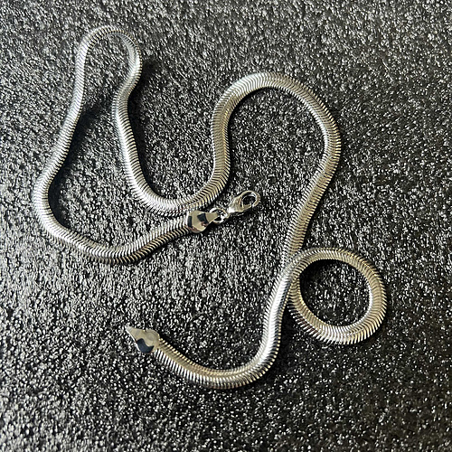 Silver snake bone necklace 