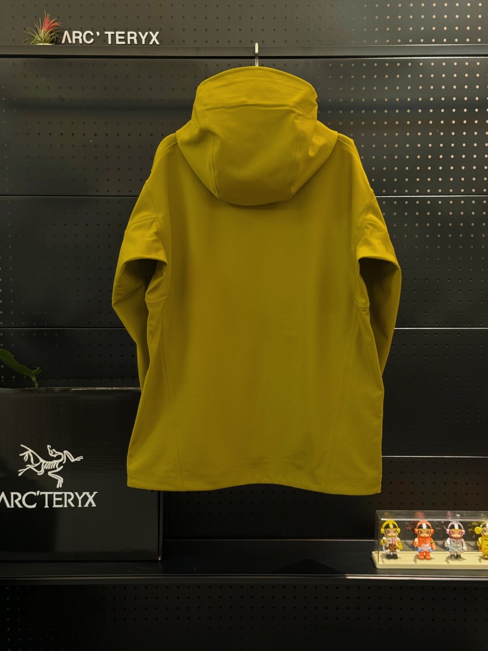 Gamma mx yellow - Image 17