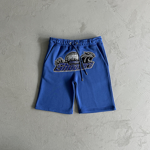 69¥ shooters chenille shorts-blue dazzling blue 