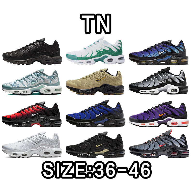 TN budget
