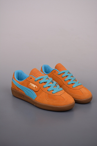 ¥300 🔥396463 13HS