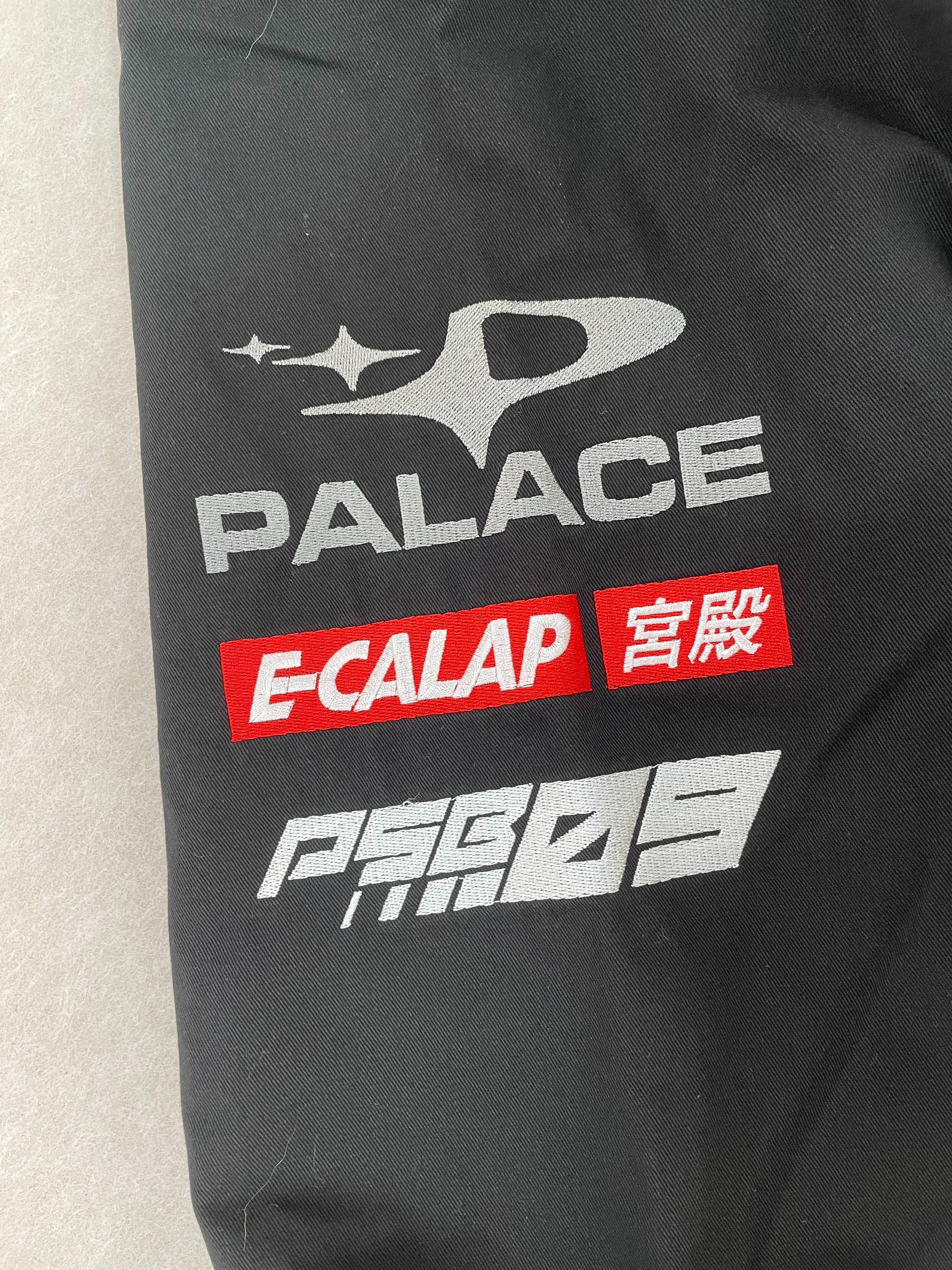 paaaa rally - Image 6